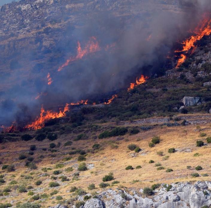 Gori borova šuma: Vatra sve bliža kućama, ugrožene šumske životinje