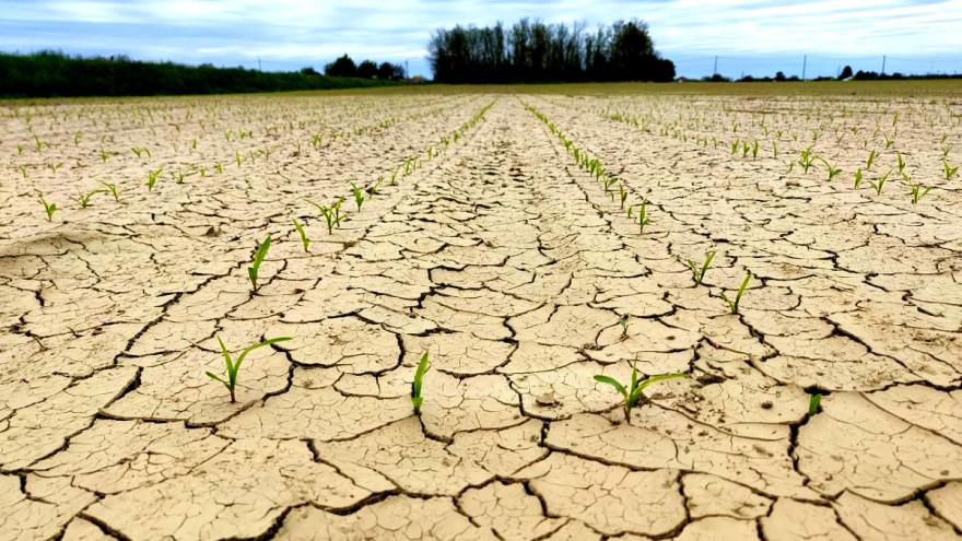 Naučnici najavaili: Klimatske promjene mogle bi imati razoran učinak na istočno Sredozemlje