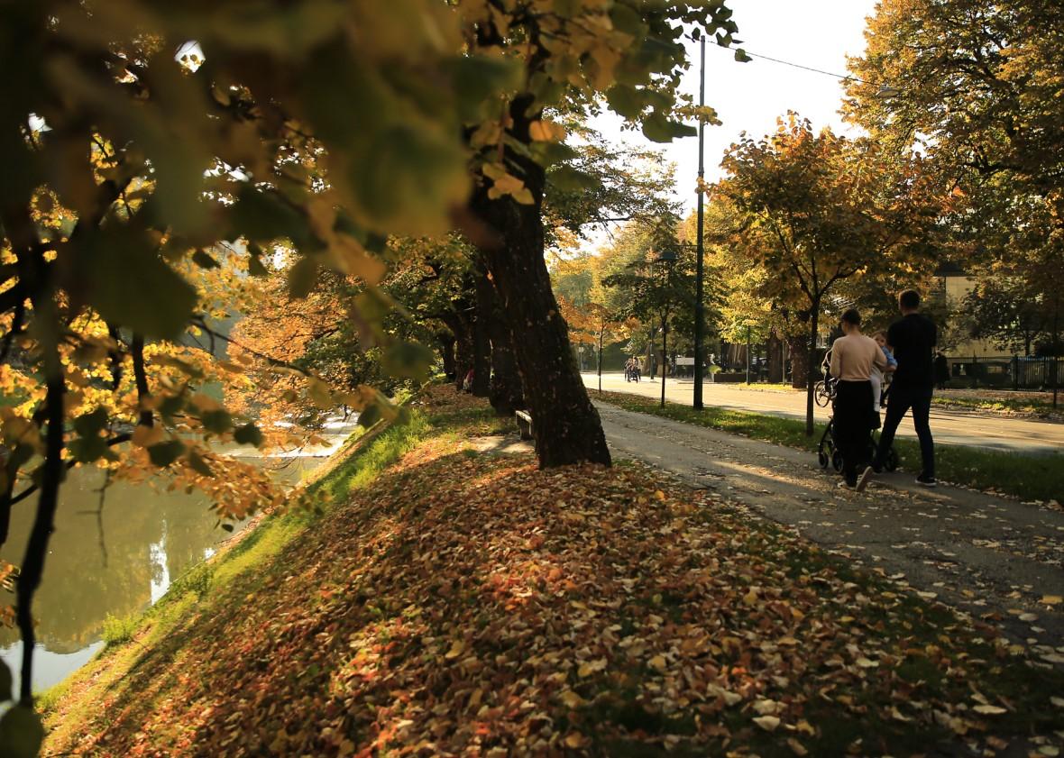 Idealna jesen: I danas sunčano sa temperaturom do 25 stepeni