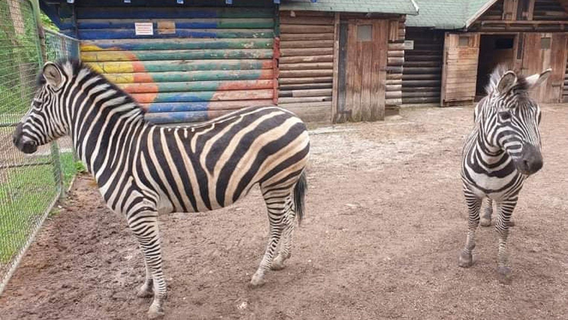 U Pionirskoj dolini i zoo vrtu počela zimska sezona