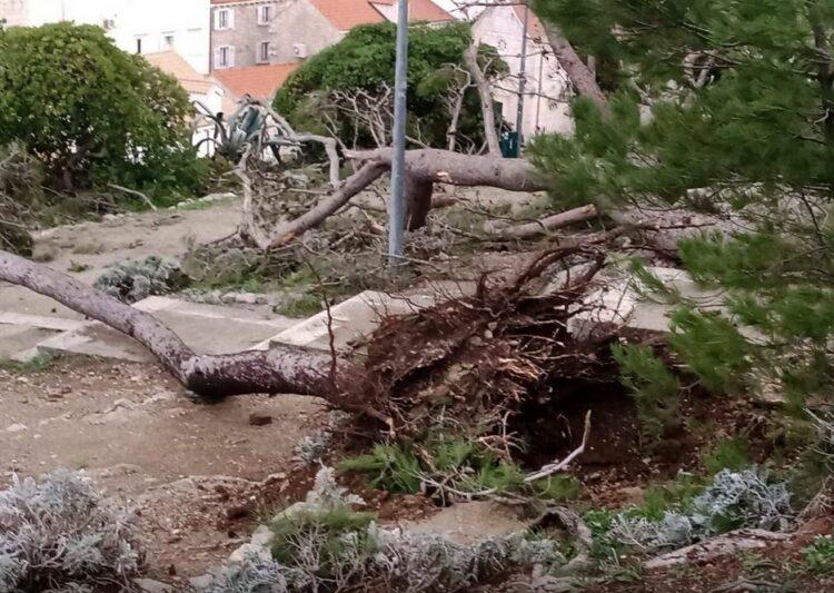 Oluja u Dubrovniku - Avaz