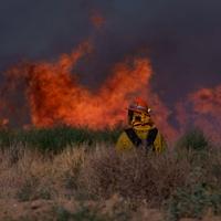 Šumski požar divlja u Kaliforniji: Evakuirano 1.200 ljudi, širi se munjevitom brzinom