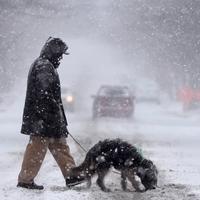 Nekoliko američkih država proglasilo vanredno stanje zbog zimske oluje i rekordno niskih temperatura