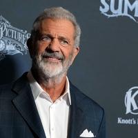 Mel Gibson kritikovao guvernera Kalifornije: Novac od poreza potrošio na gel za kosu