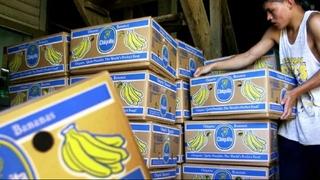 Sud naredio banana gigantu "Chiquitai" da plati 38 miliona dolara žrtvama kolumbijskih paravojnih odreda