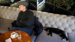 Neodoljiv prizor: Maca zaspala na kauču sarajevskog kafića