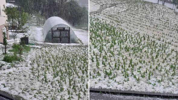 Užasno nevrijeme - Avaz