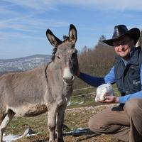 Vlasnik firme "Mali farmer" Alen Jusupović za "Avaz": Pravi magareće mlijeko u kapsulama, može biti i hrana za astronaute