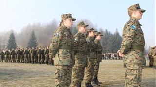 Oružane snage BiH spremne uputiti spasilačke timove u Tursku