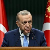 Erdoan: Znamo šta se desilo u Srebrenici, evropske zemlje su to nijemo posmatrale, kao i danas Gazu