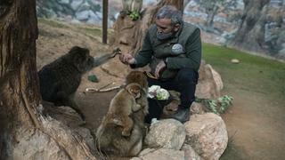 Nakon uništavanja brane u Ukrajini: Potopljen zoološki vrt u Novoj Kahkovki