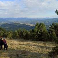 Matinski vis obiluje brojnim endemskim vrstama s Crvene liste