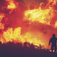 Rusija se bori s 222 požara u 20 regija