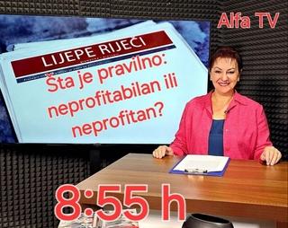 Šta je pravilno: neprofitabilan ili neprofitan?