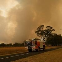 Veliki šumski požar u Australiji, vatra se približava gradovima