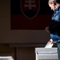 Slovaci danas izlaze na referendum