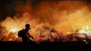 Bjesne požari u Brazilu: 36 gradova u stanju visoke pripravnosti, uhapšene dvije osobe