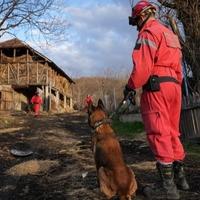 Sinoć stiglo pojačanje do kuće nestale djevojčice Danke (2)