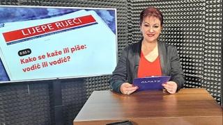 Kako se kaže ili piše: vodič ili vodić?