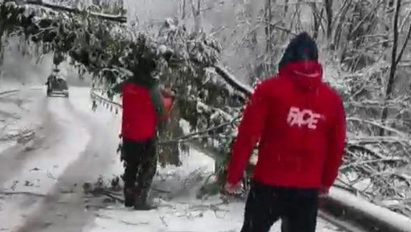 Uklonjeno drvo, saobraćaj se nastavlja - Avaz