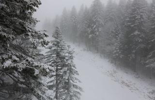 Zimska romansa na olimpijskim planinama Igmanu i Bjelašnici