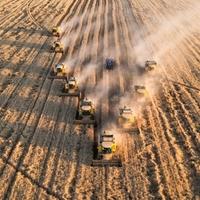 Stotine kombajna sinhronizirano žanje na nepreglednim poljima turske “riznice žitarica“
