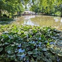 Bračni par Mujanović izgradio oazu mira s atraktivnim turističkim sadržajima: U BiH se može uspjeti