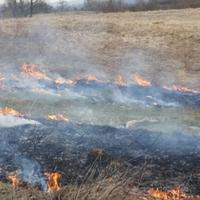 Video / Požar na putu Bosanski Petrovac - Bihać: Vatra stigla do same ceste!