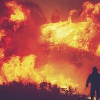Vlasti u kanadskoj pokrajini Alberti bore se sa šumskim požarima
