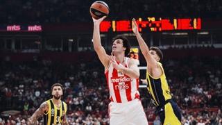 Magični Teodosić kao u najboljim danima, Zvezda demolirala Fenerbahče