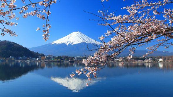 Planina Fuji - Avaz