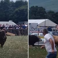 Video / Tokom borbe bik uletio u publiku, ljudi u panici bježali