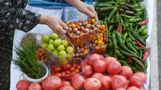 Više od stotinu artikala u trgovinama će pojeftiniti od 30 do 40 posto, cijene goriva bit će zamrznute