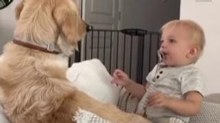 Udomili su psa nakon što su dobili bebu: Reakcija ljubimca na dječaka sve je zapanjila