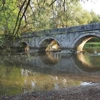 Zabrinjavajuće stanje: Izvorište Bosne skoro presušilo, pogledajte i fotografije iz zraka