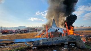 Južna Koreja i Japan će zajedno sprovesti istragu o avionskoj nesreći