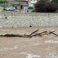 Video / Miljacka dugo nije imala veći vodostaj: Nosi sve pred sobom