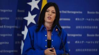 OSCE oštro osudio verbalni napad Sanje Vulić na članicu Centralne izborne komisije BiH
