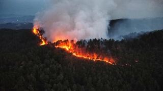 Helikopter Oružanih snaga BiH stiže ujutro u Maglaj: Gori šuma na miniranom području