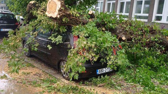 Drvo se srušilo na automobil - Avaz