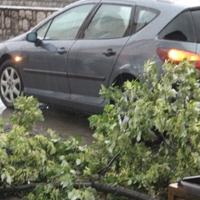 U Gračanici polomljena stabla i poplavljene ulice