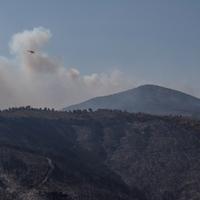 Požari u Grčkoj proglašeni najvećim u historiji EU