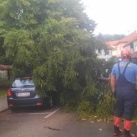 Zastrašujuće nevrijeme zahvatilo Gračanicu: Srušilo se stablo