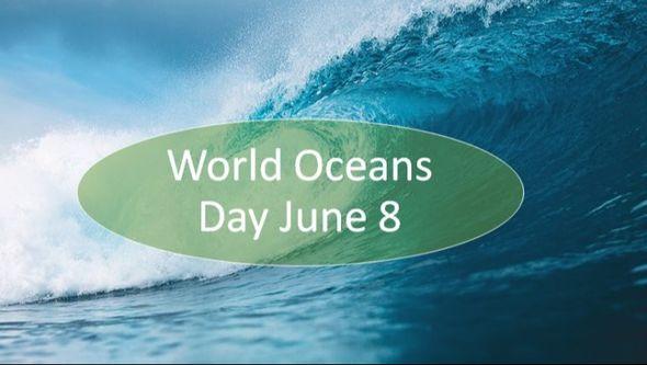 Svjetski dan okeana   - Avaz