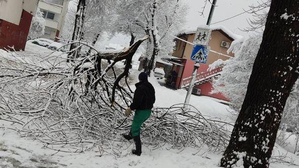 Preduzeće Park upućuje apel građanima da vode računa o mjestima kojima se kreću - Avaz