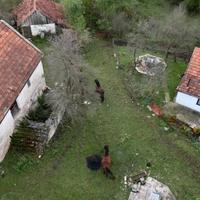 Problemi za porodicu Stupar u selu Suvaja kod Bosanskog Petrovca: Vukovi im rastrgali 11 ovaca, sedam umrlo naknadno, lovci im ne vjeruju!