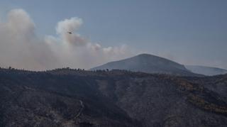 Požari u Grčkoj proglašeni najvećim u historiji EU