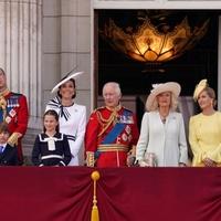 Ko je žena u žutom koja je ispred Kejt nježno dodirnula princa Vilijama