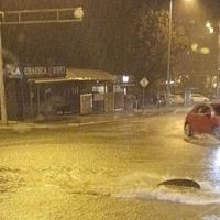 Haos u komšiluku zbog nevremena: Počupana stabla padala na automobile