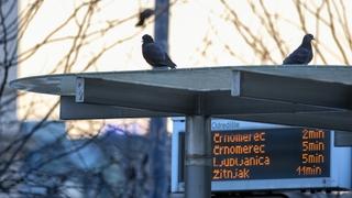 Vozač koji se pijan zabio u tramvajsku stanicu u Zagrebu neće ići u zatvor